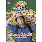 Andys Wild Adventures Hippos Cheetahs And Other Stories DVD