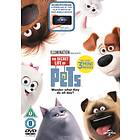The Secret Life Of Pets DVD