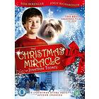 The Christmas Miracle Of Jonathan Toomey DVD