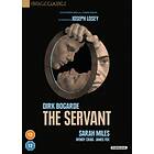 The Servant DVD