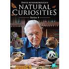David Attenborough Natural Curiosities Series 4 DVD