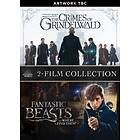 Fantastic Beasts Collection DVD