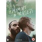 A Moment In The Reeds DVD (import)
