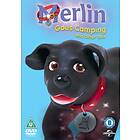Merlin The Magical Puppy Goes Camping And Other Tails DVD