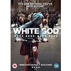 White God DVD