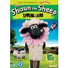 Shaun The Sheep Spring Lamb DVD