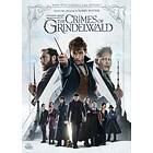 Fantastic Beasts 2 The Crimes Of Grindelwald DVD