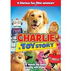 Charlie A Toy Story DVD