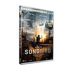 Songbird DVD