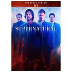 Supernatural Season 10 DVD