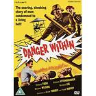 Danger Within DVD (import)