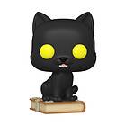 Funko POP! Thackery Binx Hocus Pocus