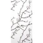 Mimou Kyoto White WP1041