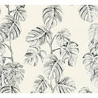 Living Walls Greenery 37281-2