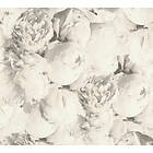 Living Walls New Studio 37398-4