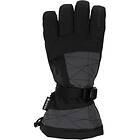 Spyder Overweb Goretex Ski Gloves (Men's)