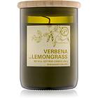 Paddywax Eco Green Verbena & Lemongrass scented Candle 226g