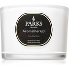 Parks London Aromatherapy Feu De Bois scented Candle 80g