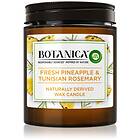 Air Wick Botanica Fresh Pineapple & Tunisian Rosemary scented Candle 205g