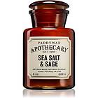 Paddywax Apothecary Sea Salt & Sage scented Candle 226g