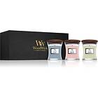 WoodWick Evening Onyx & Solar Ylang Coastal Sunset Presentförpackning trä wick (gift box)