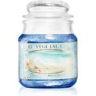 THD Vegetal Acqua Viva scented Candle 100g