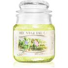 THD Vegetal Fiore E Muschio scented Candle 100g