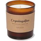 Torplyktan De fyra årstiderna Scented Candle Gryningsljus  310g