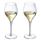 Chef & Sommelier Exaltation Champagneglass 30cl 2-pack