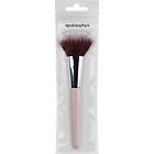 apolosophy Powder Brush 01 1st