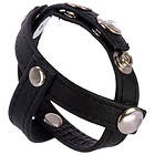 CalExotics COLT Leather C/B Strap with H-Piece Divider Black