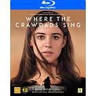 Where The Crawdads Sing (Blu-ray)