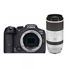 Canon EOS R7 + RF 100-500/4,5-7,1
