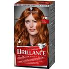 Schwarzkopf Brillance Hair Color 921 Boho Copper