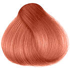 Herman´s Amazing Hair color Rosie Gold