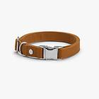 Denjo Dogs Signature Go Collar