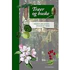 Træer og buske