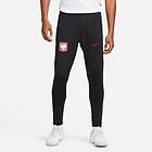 Nike Dri-FIT Poland Strike Training Pants (Herre)