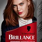 Schwarzkopf Brillance 867 Autumn Brown