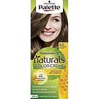 Schwarzkopf Palette Natural 6,0