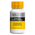Winsor & Newton Galeria Structure Gel Svart 500ml