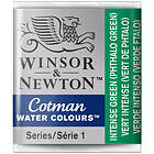 Winsor & Newton Cotman Akvarellfärg 329 Intense Green 1,7ml