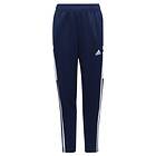 Adidas Condivo 22 Sweatpants (Jr)