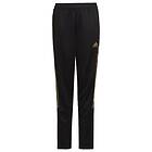 Adidas Tiro Training Pants (Jr)