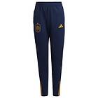 Adidas Spain Tiro 23 WM 2022 Pants (Jr)