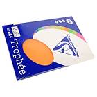 Clairefontaine Trophee Orange 80g A4 100 st