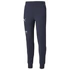 Puma Fußball Street Pants (Herre)