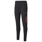 Puma Individualcup Training Pants (Herre)