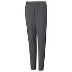 Puma Individualcup Training Pants (Jr)