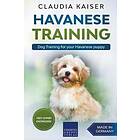 Havanese Training